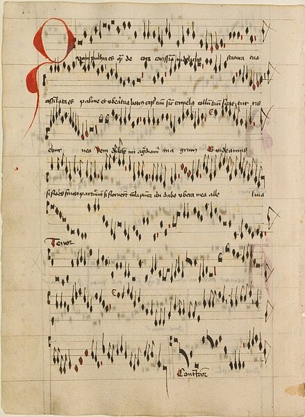 Eine Seite aus einer Handschrift mit einer großen, roten Initiale, darunter eine notenähnliche Schrift mit Text. 