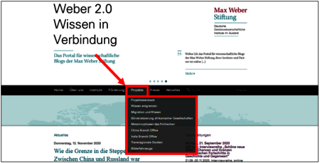 Der Bereich Projekte auf der Internetseite
